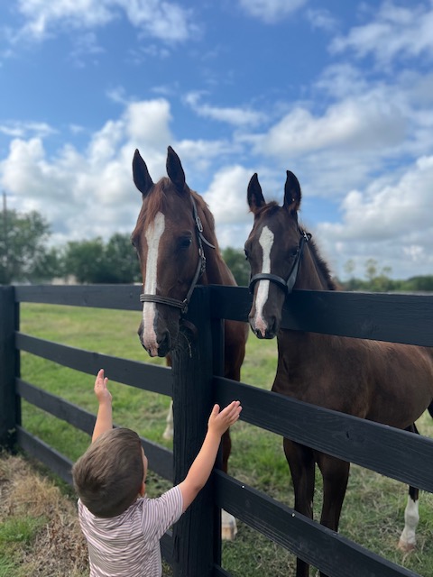 Meadow Lane Equestrian Center 2024 photo contest